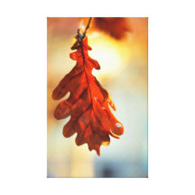 Yellow autumn leaf canvas print