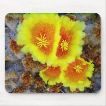YELLOW BARREL CACTUS BLOOMS MOUSEPADS