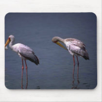 Yellow-billed Storks mousepads