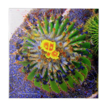 Yellow Blooming Barrel Cactus Tile