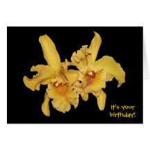 Yellow Cattleya Orchid Birthday Card