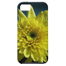Yellow Chrysanthemum iPhone 5 Case