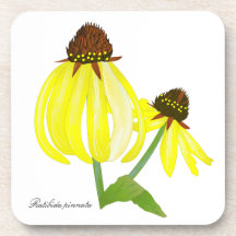 Yellow Coneflower Coasters