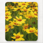Yellow Coreopsis Field Mouse Mats