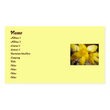 Yellow Crocuses Business Cards