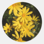 Yellow Daisies Round Stickers