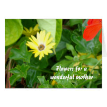 Yellow daisies to show I care Greeting Card