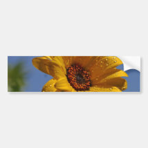 Yellow Daisy Bumper Sticker