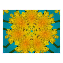 Yellow Dandelion Nov 2012 Postcards
