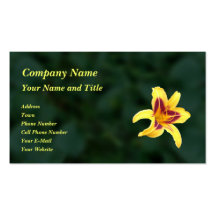 Yellow Daylily Flower with Red, Hemerocallis: Business Card