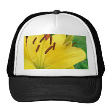 Yellow daylily mesh hats