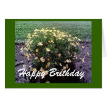 Yellow flower Birthday Card