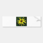 Yellow Flower Bumper Sticker