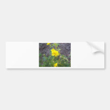 yellow flower bumper stickers
