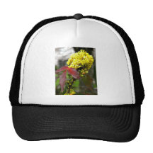 Yellow Flower Hat