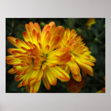 yellow flower posters