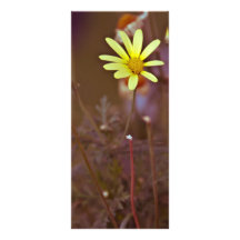 Yellow flower rack card template