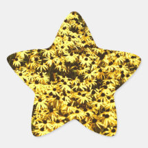 Yellow Flowers Star Stickers