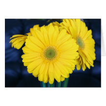 Yellow Gerbera Daisy Card