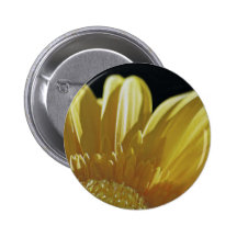 Yellow Gerbera Daisy Pinback Button