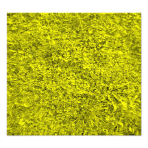 Yellow grass pattern art photo