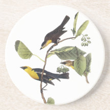 Yellow-headed Blackbird - John Audubon Coaster