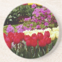 yellow Keukenhof gardens, Amsterdam, Netherlands f Coasters