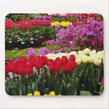 yellow Keukenhof gardens, Amsterdam, Netherlands f Mousepads