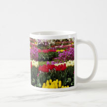 yellow Keukenhof gardens, Amsterdam, Netherlands f Mug