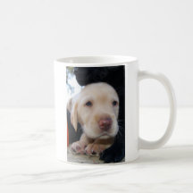 Yellow Lab Puppy Coffee Mugs