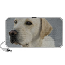 Yellow Lab  Speakers