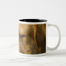 Yellow labrador with a tennis ball in the water mug