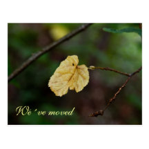 Yellow leaf we´ve moved postcard