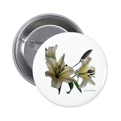 Yellow Lilies on White Pinback Buttons