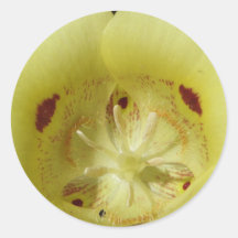 Yellow Mariposa Lily Round Stickers