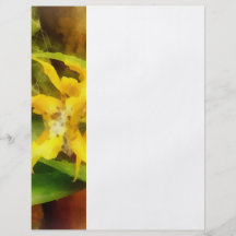 Yellow Miltassia Orchids Custom Flyer