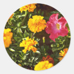 Yellow, Orange Marigolds, Petunia flowers Round Sticker