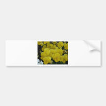 yellow pansies bumper stickers