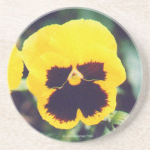 Yellow Pansy Beverage Coasters