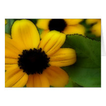 Yellow-Pansy Cards