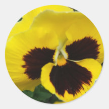 yellow pansy face round stickers