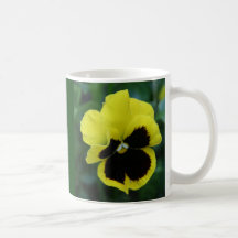 YELLOW PANSY FLOWER, YELLOW PANSY FLOWER COFFEE MUGS