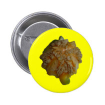 Yellow Pepper - wraps off buttons