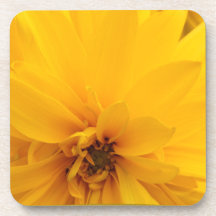 Yellow Petals Coasters