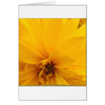 Yellow Petals Greeting Cards