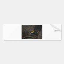 Yellow Poison Dart Frog Bumper Stickers