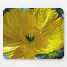 Yellow Poppy Mouse Mats