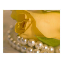 Yellow Rose and Pearls Post Cards