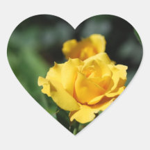 Yellow Rose Bud  Stickers