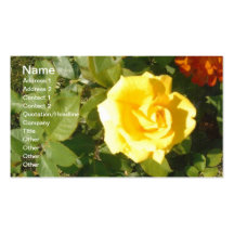 Yellow Rose Business Cards